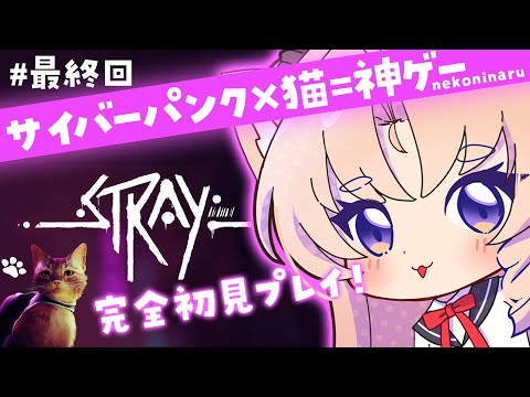 【stray】#最終回　完全初見！大人気猫ちゃんゲームを実況プレイ♡【お嬢様VTuber　来世せいら】