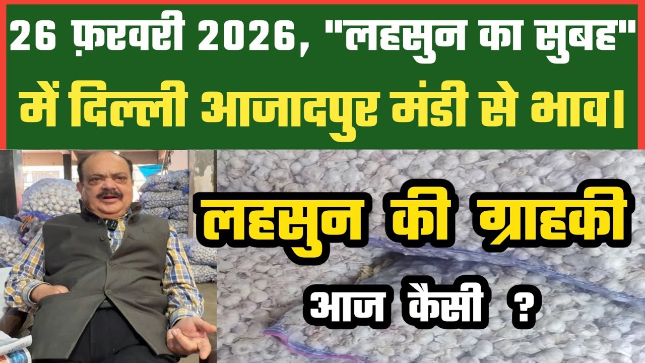 आज लहसुन में बाज़ार कैसा ? Azadpur Delhi Mandi Today 26-02-2026 को बने ऐसे Garlic Price DMT TV