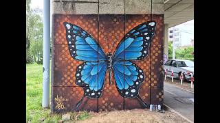 Butterfly PAINTING on wall by Blaze 🦋