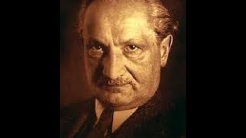 Dan Schneider Video Interview #228: On Martin Heidegger: Philosopher Iain Thomson