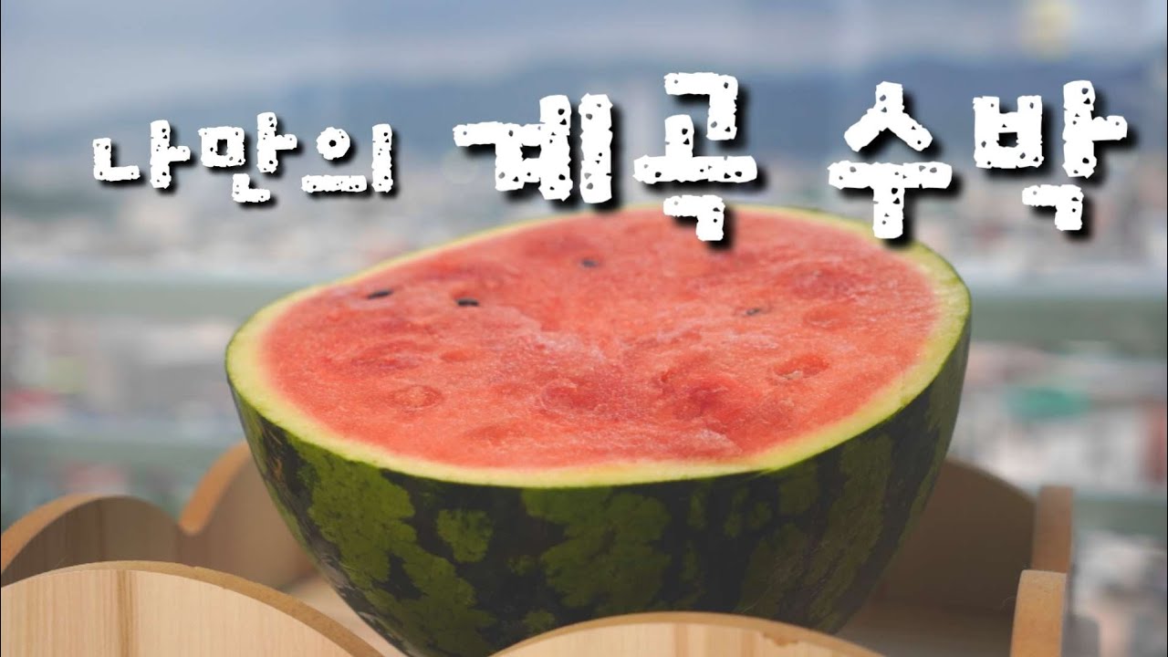 계곡없는 계곡에서 수박먹방