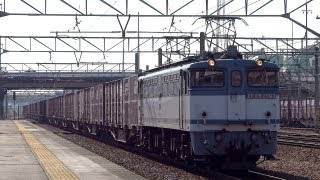 JR貨物 EF65-2093 貨物列車 (5087レ JR貨物更新色 青プレ)東海道線 笠寺駅