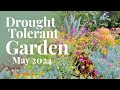 Drought tolerant garden tour  may 2024