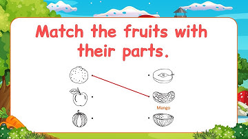 Pre-Primer EVS Lesson | Every Page Explained for Kids | evs for kids | Match fruits with their parts