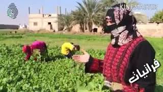 عتابات فراتي