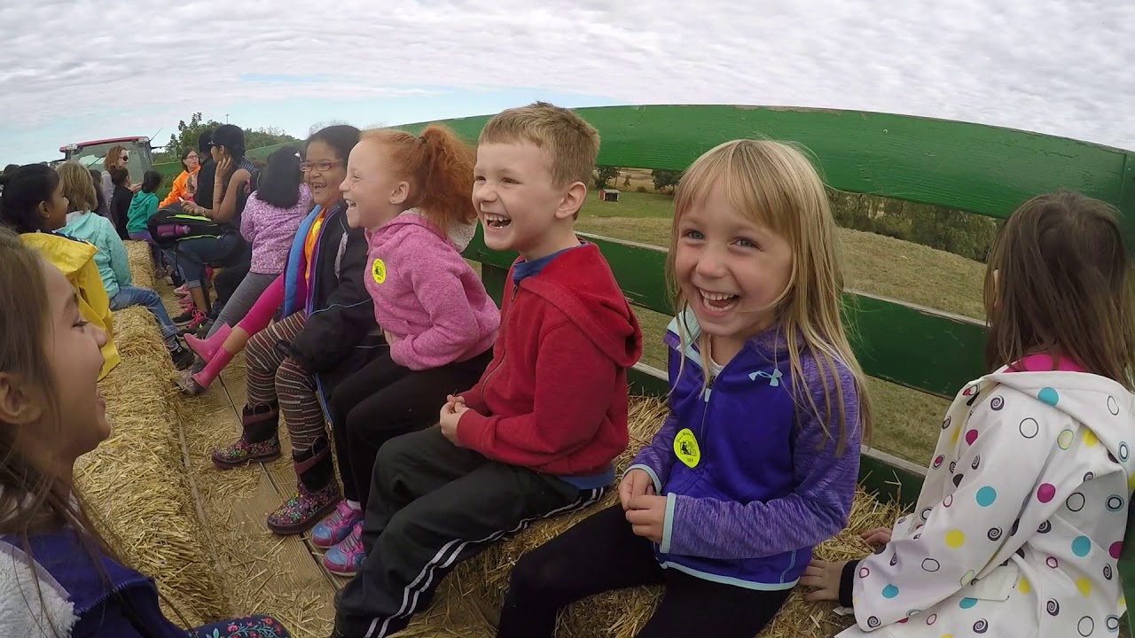 Green Meadows Farm Irving K5 Field Trip Hay Ride Part 3 YouTube