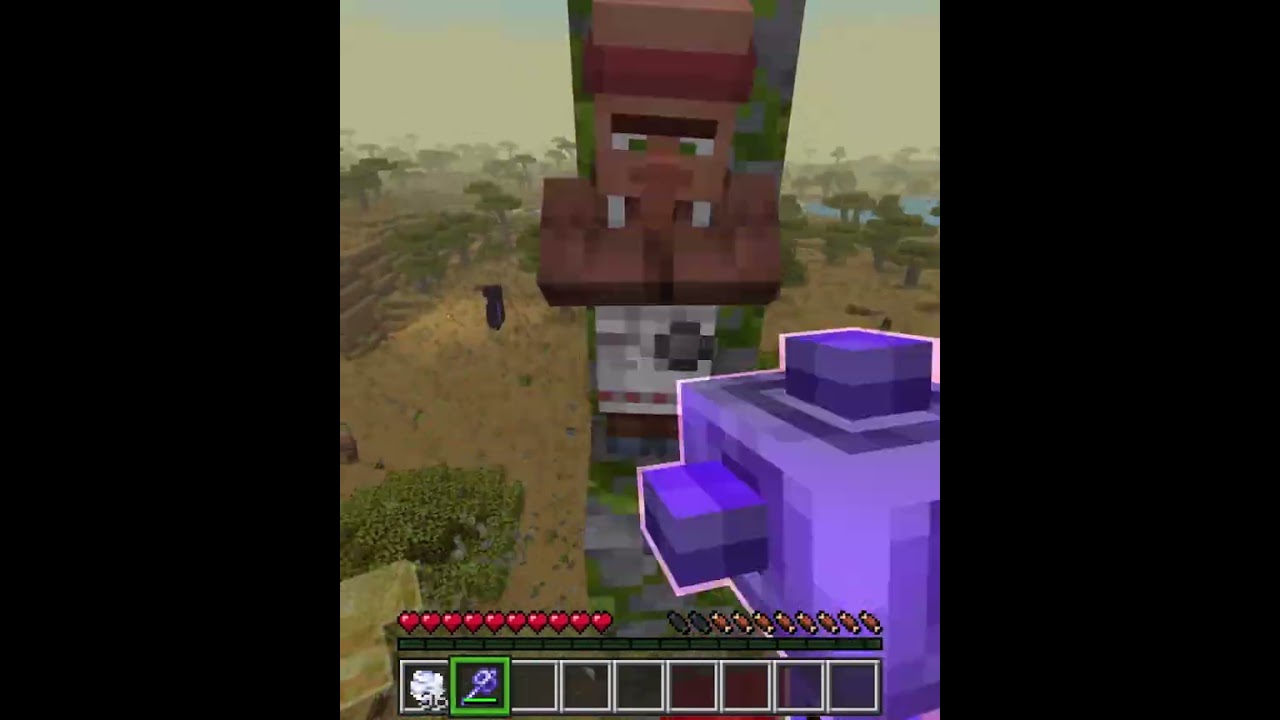 NEW Villager Elevator  