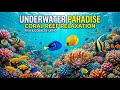 Meditation Sleep Music and Tranquil Water Sounds for Night Meditation