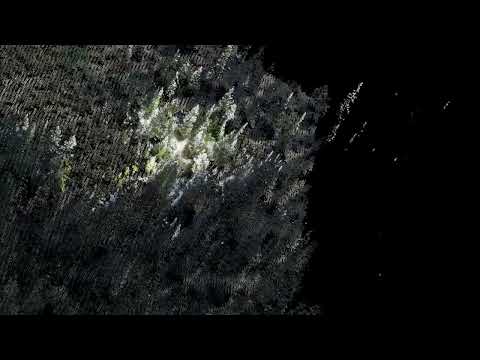 ALS and TLS point cloud alignment