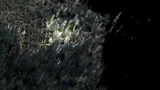 Celebrity ALS and TLS point cloud alignment Net Worth