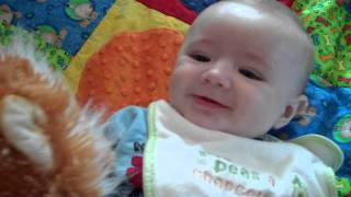 VID00365
