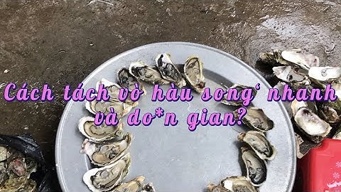 Hướng dẫn cách tách vỏ hàu sống cực nhanh và đơn giản