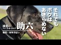 それでもボクはあきらめない