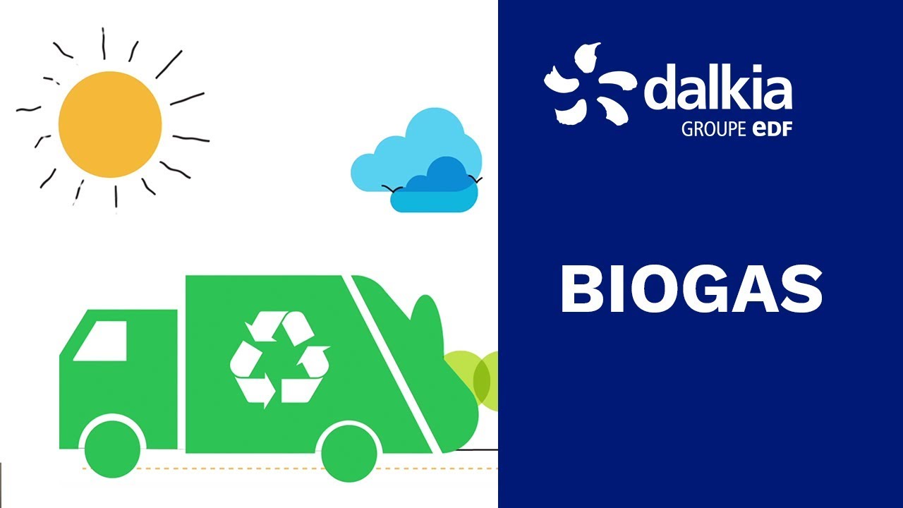 Biogas Definition What Is Biogas Production Is It Sustainable