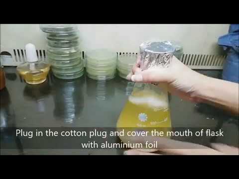 Preparation of LB (Luria-Bertani) medium to grow bacteria