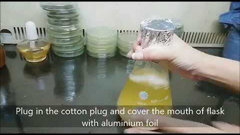 Preparation of LB (Luria-Bertani) medium to grow bacteria