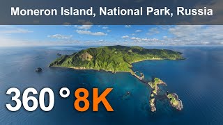 Moneron Island National Park. 8K 360 aerial video.