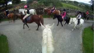 Hampton Lodge Hacking Part  (2).MP4