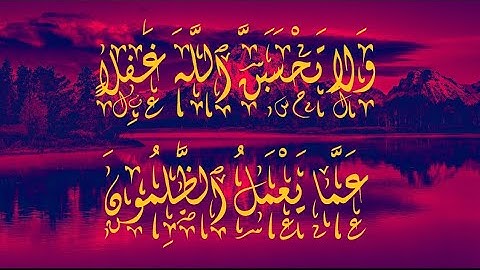 (¯'·.¸(♥)¸.·'´¯)[ تلاوة رائعة من سورة إبراهيم / بصوت القارئ عبد الرحمن مسعد ](¯'·.¸(♥)¸.·'´¯)
