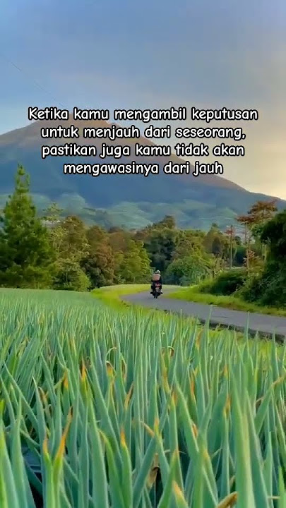 Hapus kontaknya, unfollow ig nya #story #storywa #igstory #statusvideo #tiktok #tiktokviral #quotes