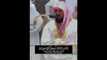 ﴿صُنعَ اللَّهِ الَّذي أَتقَنَ كُلَّ شَيءٍ﴾ من سورة النمل للشيخ ماهر المعيقلي 🤍..
