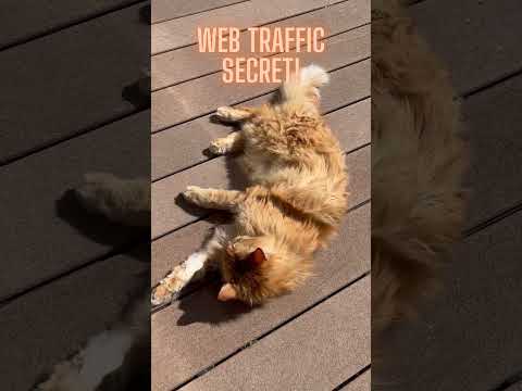 Free Website Traffic Checker