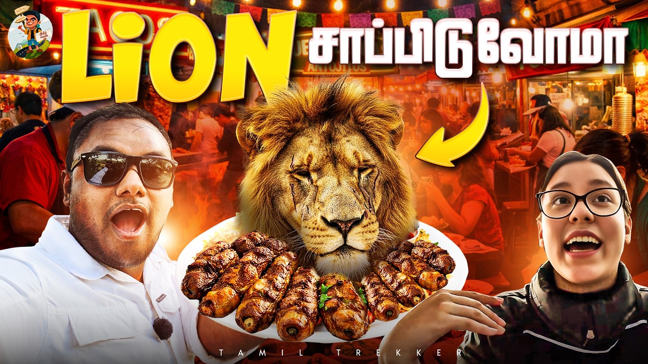 இதெல்லாம் எப்படி சாப்பிடுறாங்கன்னு தெரியலையே 🐙🦓🪳 | Tamil Trekker | Mexico 🇲🇽  | Ep - 05