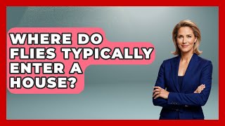 Where Do Flies Typically Enter A House? - Insects and Invaders