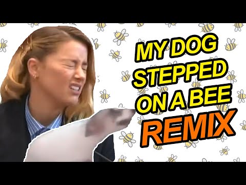 My Dog Stepped On a Bee (Remix)
