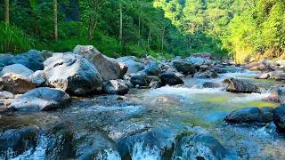 Gentle River Echo for Relax and Focus | sleep - relax - enjoy life - ASMR