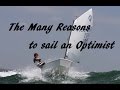 The Many Reasons to sail an Optimist