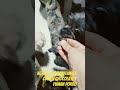 #viralvideo #food @YouTube @tiktok @kidstvsongs@snoopdogg