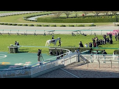 2021年 桜花賞 レース後に引き上げるまでのソダシ