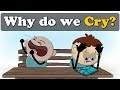 Why do we Cry?   more videos | #aumsum #kids #science #education #children