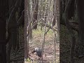 #Turkey