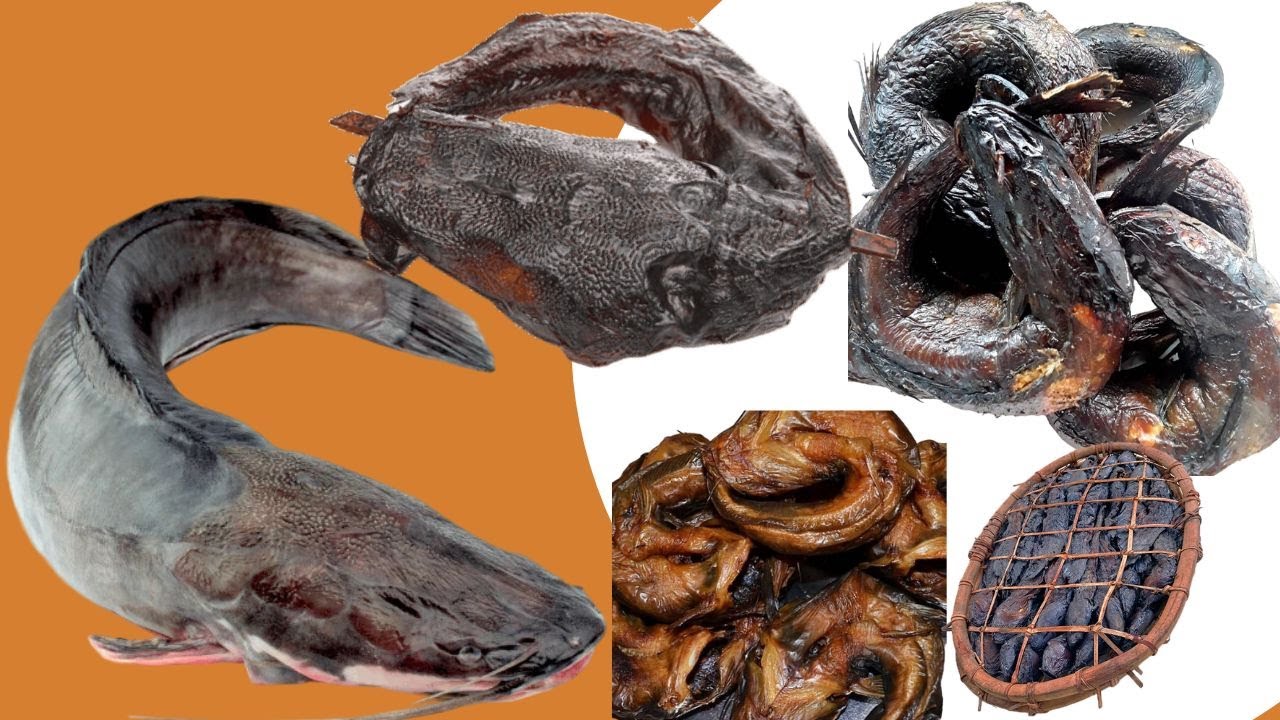 Cuisine🍽️Congolaise : voici comment faire son poisson fumé au four (MBISI YAKO KAUKA ) Whouuuuuu