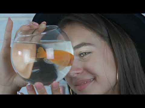 Video: Paano Gawing Makaligtas ang Goldfish sa Mga Dekada