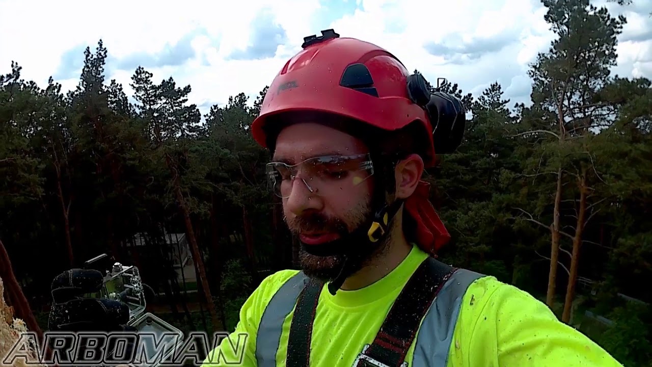 Срезание наклонившейся сосны с вывернутыми корнями Baseball case