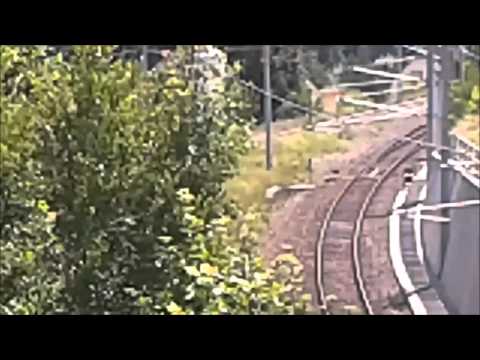 Zug Rosenbach #1161