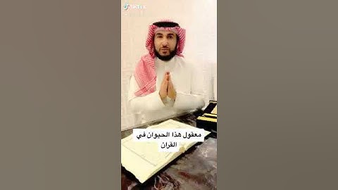 معنى كلمة الحيوان من سورة العنكبوت الآيه( 64 )