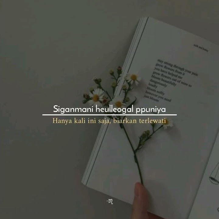 Story Wa || Davichi (this love)