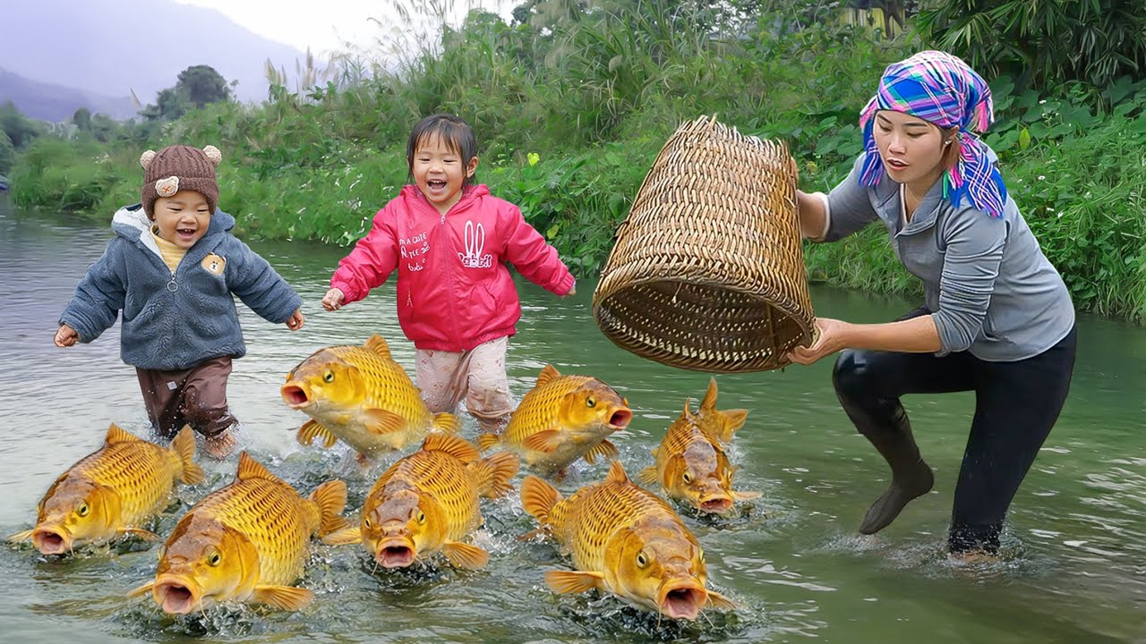 Clean Wild Stream Fish- Catching to Sell | Perfect Fishing Day of Chuc Duong Family | Village Life