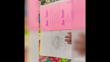 Invertebrates .. zoology practical notebook.🤩
