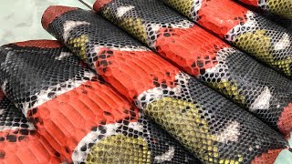 Multicolor python leather, rainbow leather, rainbow snakeskin Wealth