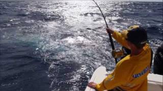Bonaire Blue Marlin Tournament 2010