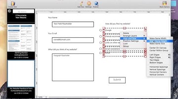 How to create a web form based on a blank canvas using HTML Egg Pro for Mac