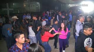 Las amarillas Grupo Afortunados Video Juárez