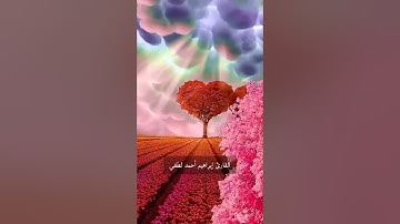 تلاوة خاشعة من سورة العنكبوت❤