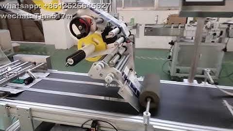 Zipper Pouch Bag Top and Bottom Labeling Machine with Automatic Feeding Device