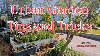 Urban Gardening Tips and Tricks for Small Spaces | NoDig Permaculture Garden